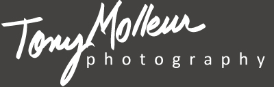 Tony Molleur Photography